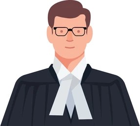 Expert Lawyer